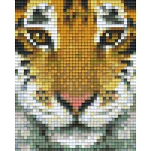 Tigrisfej (10,1x12,7cm)