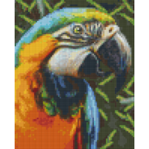 Papagáj (20,3x25,4cm)