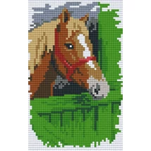Lófarm 2 (10,7x20,3cm)