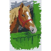 Lófarm 2 (10,7x20,3cm)