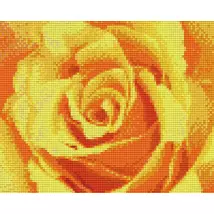 Sárga rózsa (25,4x20,3cm)