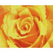 Sárga rózsa (25,4x20,3cm)