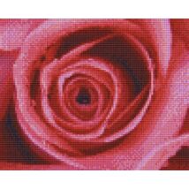 Vörös rózsa (25,4x20,3cm)