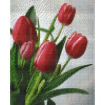 Rózsaszín tulipán (20,3x25,4cm)