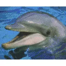 Delfin 2 (25,4x20,3cm)