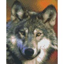 Farkas 1 (20,3x25,4cm)