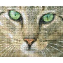 Zöldszemű macska (25,4x20,3cm)
