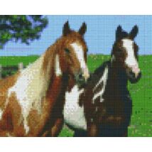 Két ló (25,4x20,3cm)