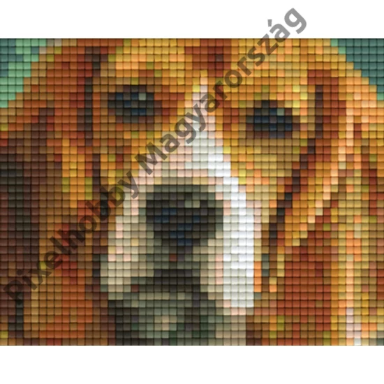Basset hound (10,1x12,7cm)