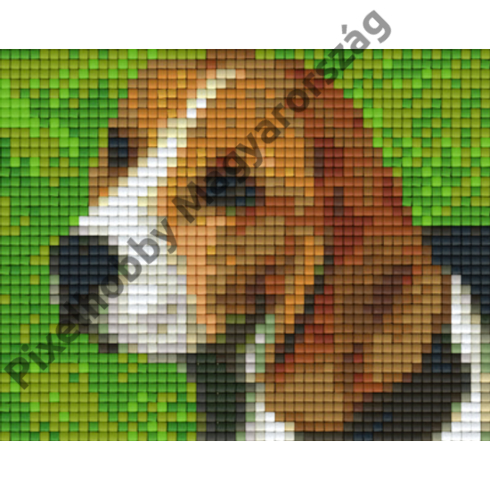 Beagle (10,1x12,7cm)