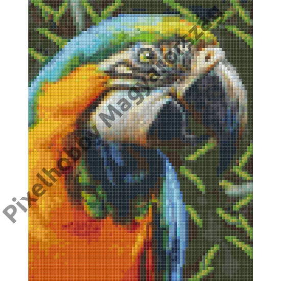 Papagáj (20,3x25,4cm)