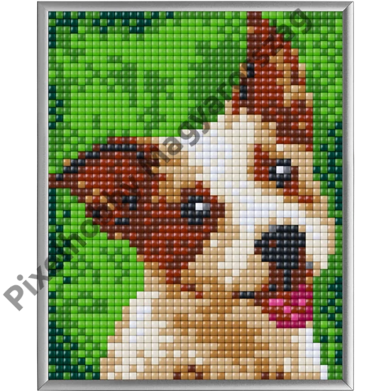Pixel XL 4 alaplapos szett - Terrier