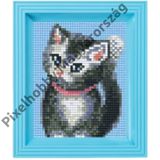 Pixel készlet - CICA
