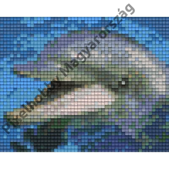 Pixelhobby minta - Delfin