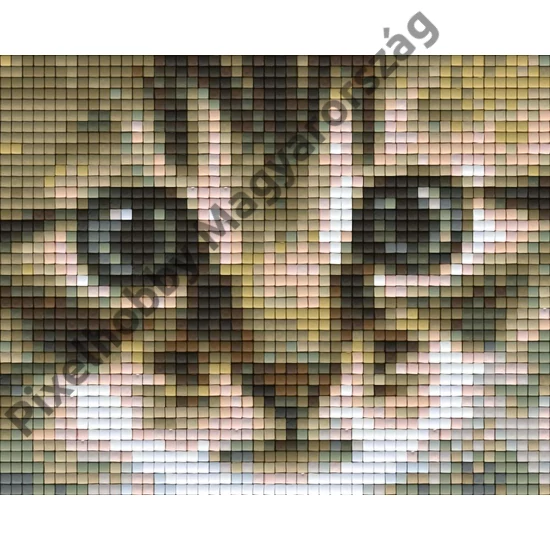 Pixelhobby Mintak () Pixelhobby Mintak