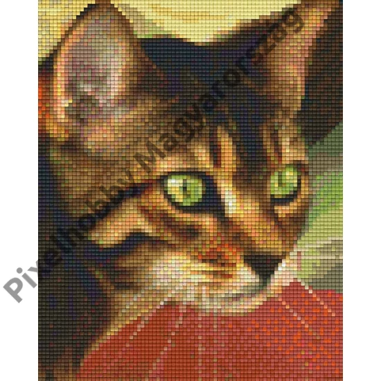 Macska 3 (20,3x25,4cm)