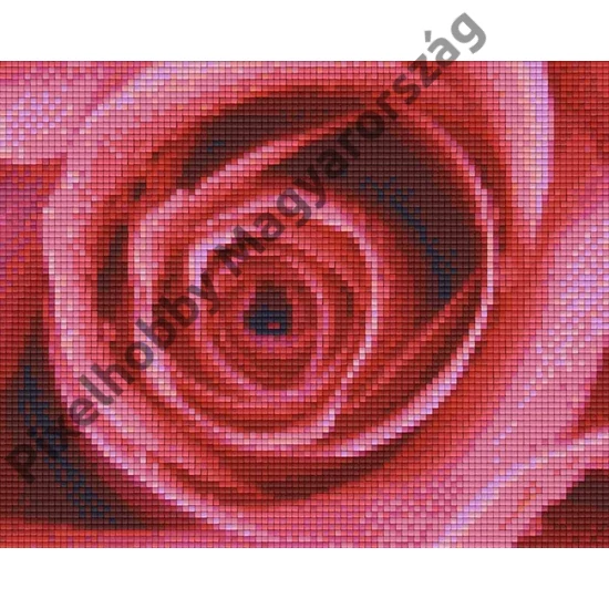Vörös rózsa (25,4x20,3cm)