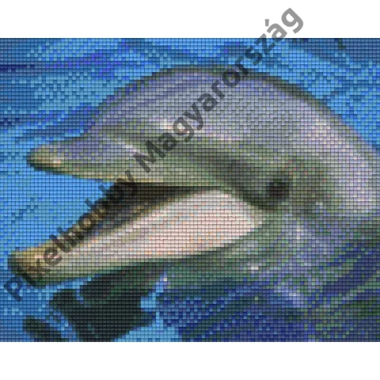 Delfin 2 (25,4x20,3cm)
