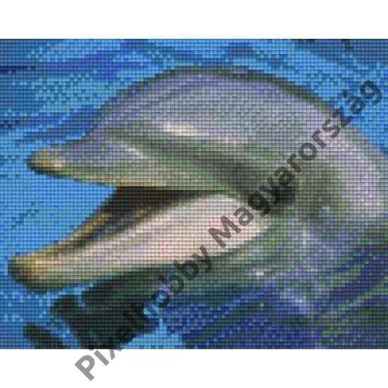Delfin 2 (25,4x20,3cm)