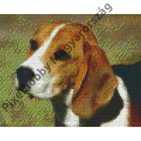 Kutya 1 (25,4x20,3cm)