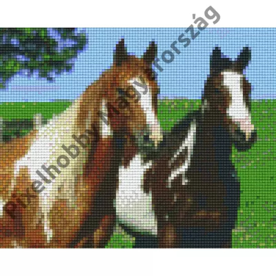 Két ló (25,4x20,3cm)