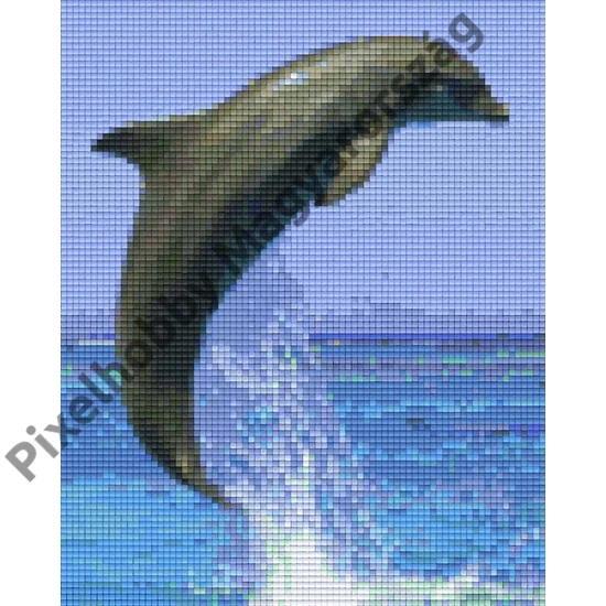 Delfin 1 (20,3x25,4cm)